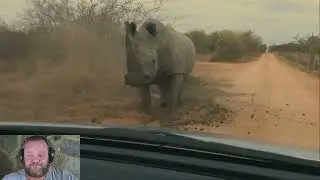 Rhino attack - The Dangers of Ignoring a Mock Charge