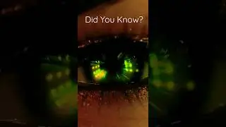 Fact About Human Eye - #shorts #10Million #itsafact Did You Know About This? Comment Below 👇