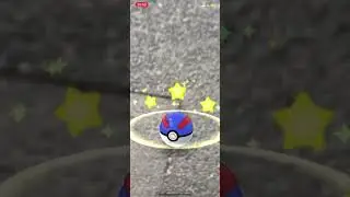Shiny Pidove