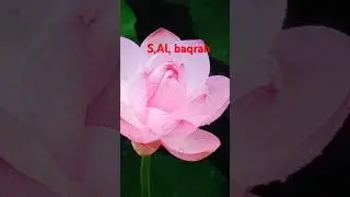YouTube#short#quran#arabicS,Al, baqrah.last ayah . learn.listn .and teach tha Quran.love Allah n MD.