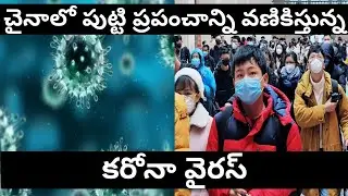 Coronavirus Details and Precautions to take away ll #pavanmultiplevideos