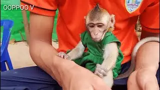 Look so lovely baby Monkey Janny / what are you doing Janny ?