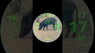 Garmin Xero X1i crossbow scope in action #hunting #hoghunting