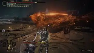 [Elden Ring]: Tank vs Red Wolf of Radagon NG+