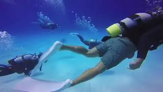 100 Memorial Diving at Tarama Island 多良間島100DIV