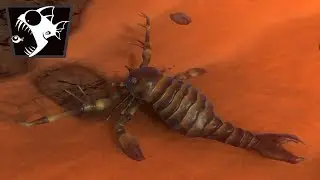 LE SCORPION DES MERS, MEGALOGRAPTUS - Feed And Grow #60 (FR)