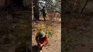 VC hunting