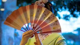 Chinese Fans|Beautiful Fan Art|Chinese fans dance|variety|Culture |paper fan making|designs|crafts|