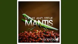 Mantis (Stanny Abram Remix)