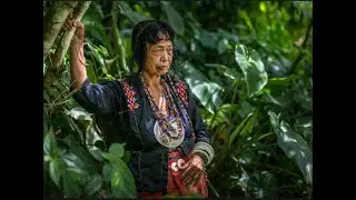 Indigenous People  Celebration @Babaylan # Shaman