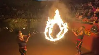 Kalaripayattu Show   Kerala Traditional Martial Art | Thekkady