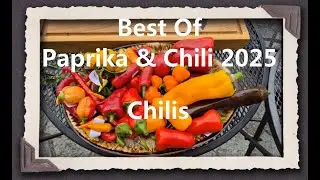 Best of Paprika & Chili 2025 - Chilis