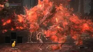 [DS3][Challenge Run] ODK beat 'em up simulator