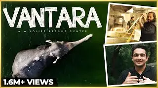 EXCLUSIVE Vlog - Anant Ambani's Vantara - Animals, Experiences & Emotions ft. Forrest Galante