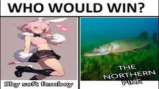 Bullshitpost status compilation 18