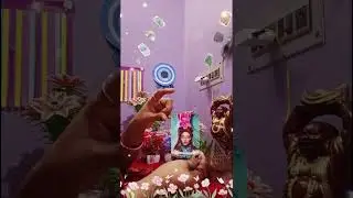 নতুন জীবন ২০২৬#viralvideo#11:11