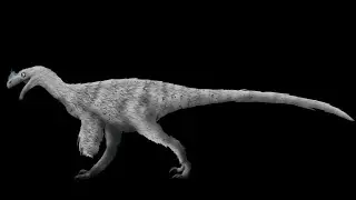 Ornitholestes Timelapse