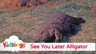 Kidsongs - See You Later Alligator