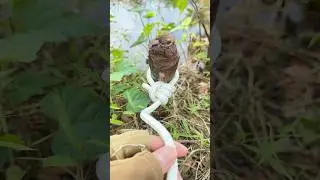 Very Useful KNOT