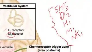 GIT Drugs-lecture-11- Nausea & Vomiting(1): Pathophysiology and Drug targets
