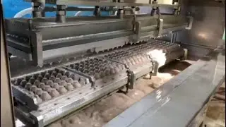 Small capacity Egg Tray/Egg Carton  Making Machine