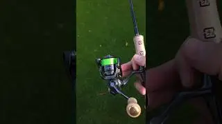 Shimano Cardiff AX S66UL & Cardiff XR C2000S - magnificent trout combo