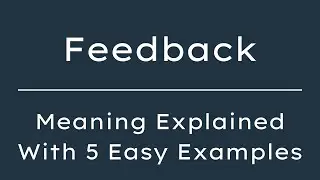 What Does Feedback Mean? Feedback Meaning in English With 5 Example Sentences