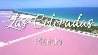 Las incre&iacute;bles lagunas rosas - Las Coloradas Merida