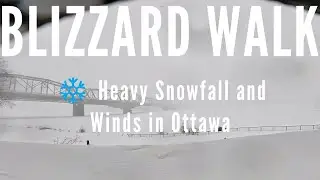 Blizzard Walk! Heavy Snowfall and Winds in Ottawa | ASMR Relaxation Walk (4K)