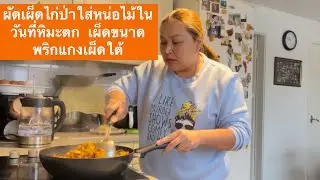 ผัดเผ็ดไก่ป่าใส่หน่อไม้ในวันที่หิมะตก  เผ็ดขนาดพริกแกงเผ็ดใต้