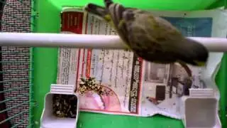 03072010027.mp4