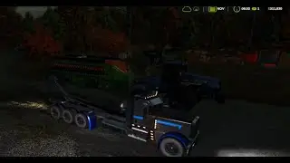 NEW FIELD AND AN ATTEMPT AT LIL LOGGING