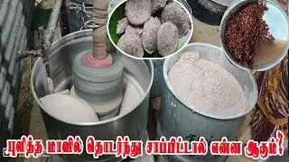 புளித்த மாவில் தொடர்ந்து இட்லி & தோசை சாப்பிட்டால் என்னவாகும்? Disadvantages of eating idli & Dosa?