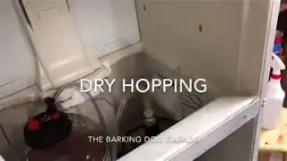 Dry Hopping