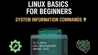 Linux Basics for Beginners | System Information Commands for DevOps Learners