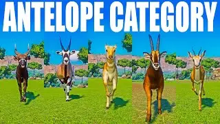Antelope Category Speed Races in Planet Zoo included Bongo, Gemsbok, Springbok, Sable Antelope