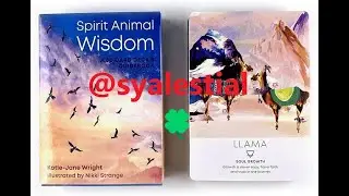 [UNBOXING] ✨ SPIRIT ANIMAL WISDOM CARDS