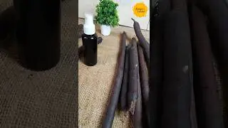 how to make amaltas  hair tonic #cassiafistula,#longhair #blackhair #amaltas #diy #easy #अमलतास