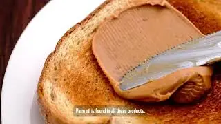 How can you look for products with certified sustainable palm oil?
