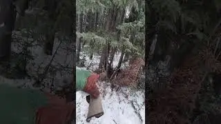 Хороший знак