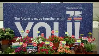 FlowerTrials 2022 - PanAmerican Seed