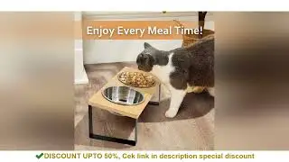 Elevated Cat Bowls 15&deg; Tilted Raised Cat Food Bowls with Wooden Stand Anti Vomiting 2 Stainless Stee