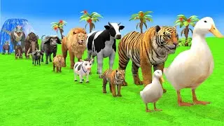 Z5p Animal Challenge Water Park 