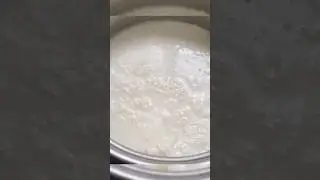 How To make curd in Winter's #ytshorts #recipe #shorts #youtubeshorts