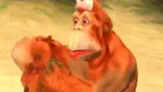Animal Love