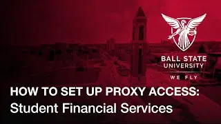 How to Set up Proxy Access