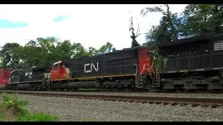 Railfanning - Trailing Canadian National # 5675. Cove, Pa. 6-6-14