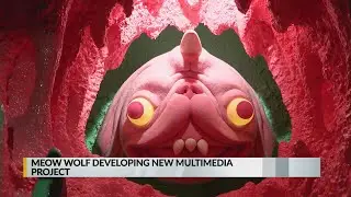 Meow Wolf developing new multimedia project