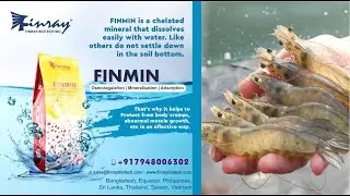 Finmin | chelated mineral | Protect from body cramps, abnormal muscle growth | Finray Biotech Inc