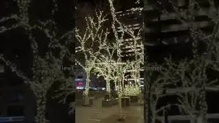 ▶️ Christmas Lights & Christmas Trees At Zuccotti Park. Lower Manhattan, NYC. Sunday Night 12/14/25